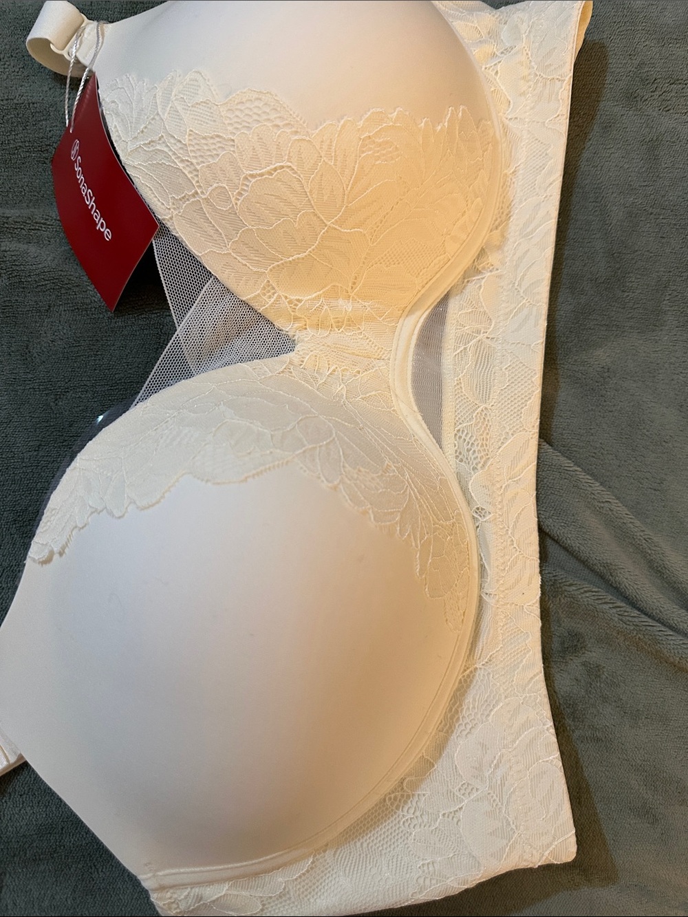 Lace-Accent Bra in Ivory/Cream